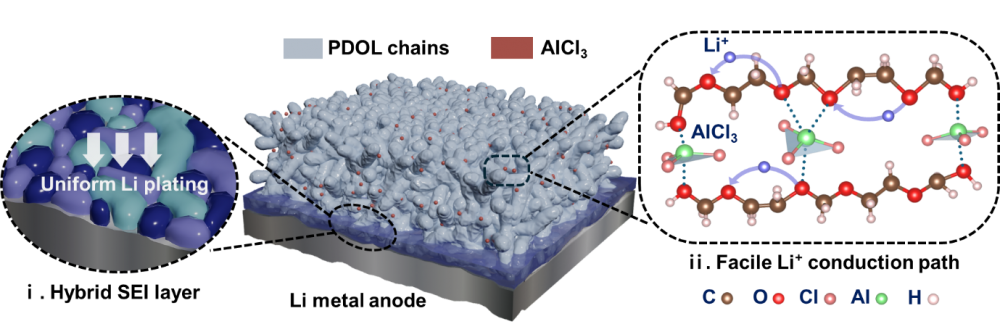 A Multifunctional Potent Lewis Acid for In situ Formation of Poly ...