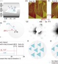 Step-Directed Epitaxy of Unidirectional Hexagonal Boron Nitr…