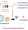 Rational Design of Biocompatible Ir(III) Photosensitizer to …