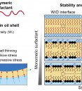 Mixed surfactants for stabilizing and controlling water tran…