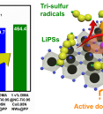 Activation of the Radical-Mediated Pathway and Facilitation …