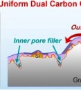 Finely regulating the surface pore structure towards long-la…