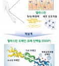 Redesigned elastin domain-derived proteins inherit natural h…