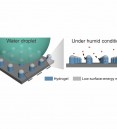 Low-Surface-Energy Capped Hydrogel Micropillar Arrays for Tr…